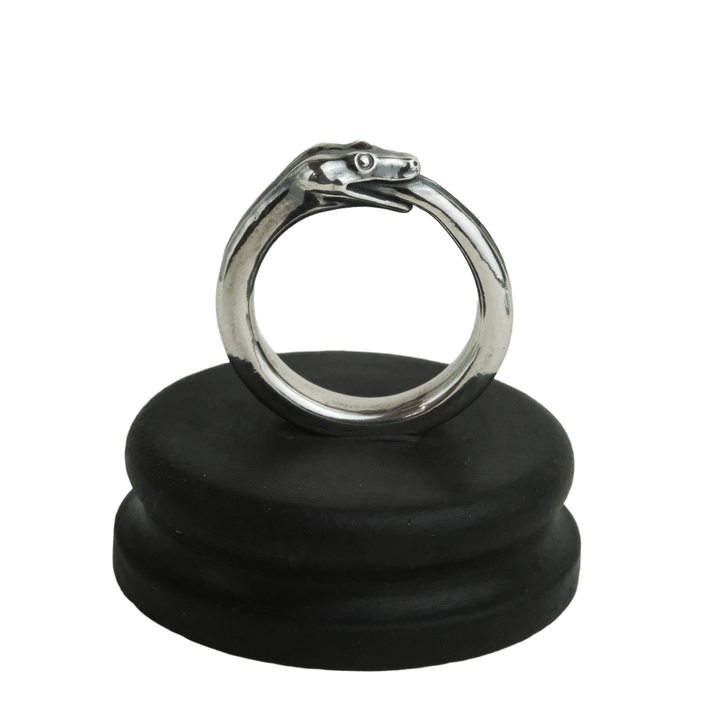 Ouroboros ring